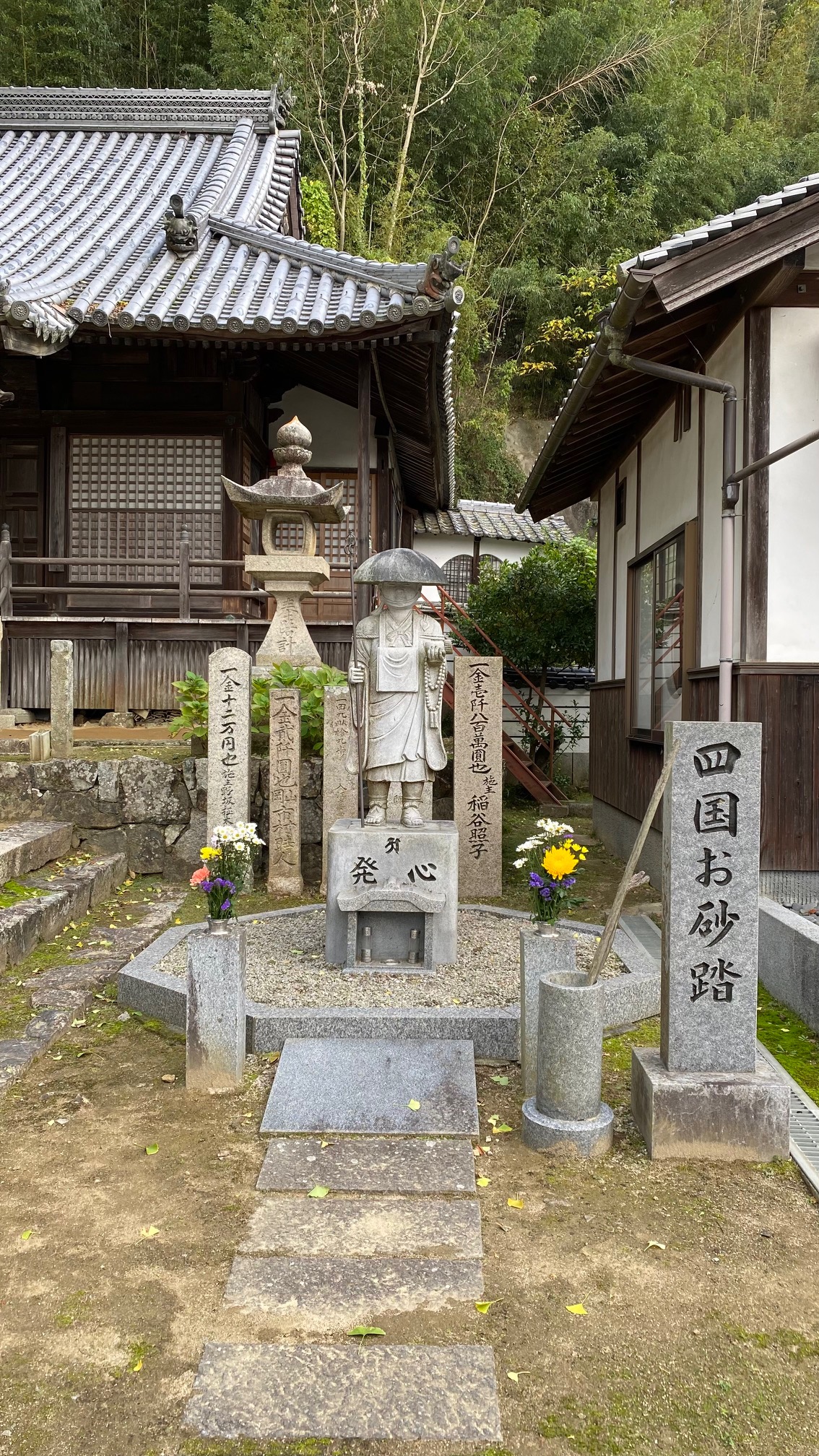 20241119 花比べ1.jpg